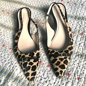Ann Taylor Leopard sling backs